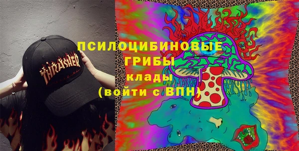 дмт Белокуриха