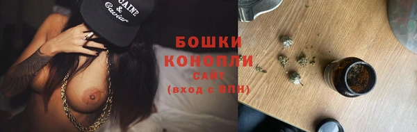 дмт Белокуриха