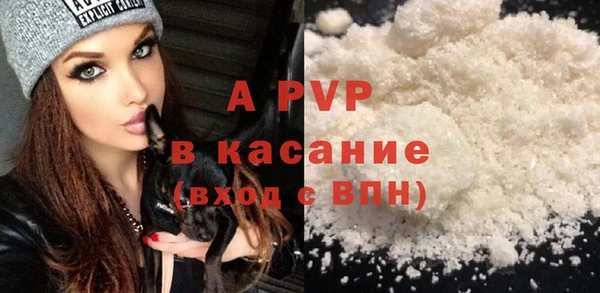 стаф Беломорск