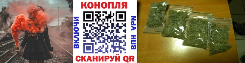Бошки Шишки ГИДРОПОН  Туран 
